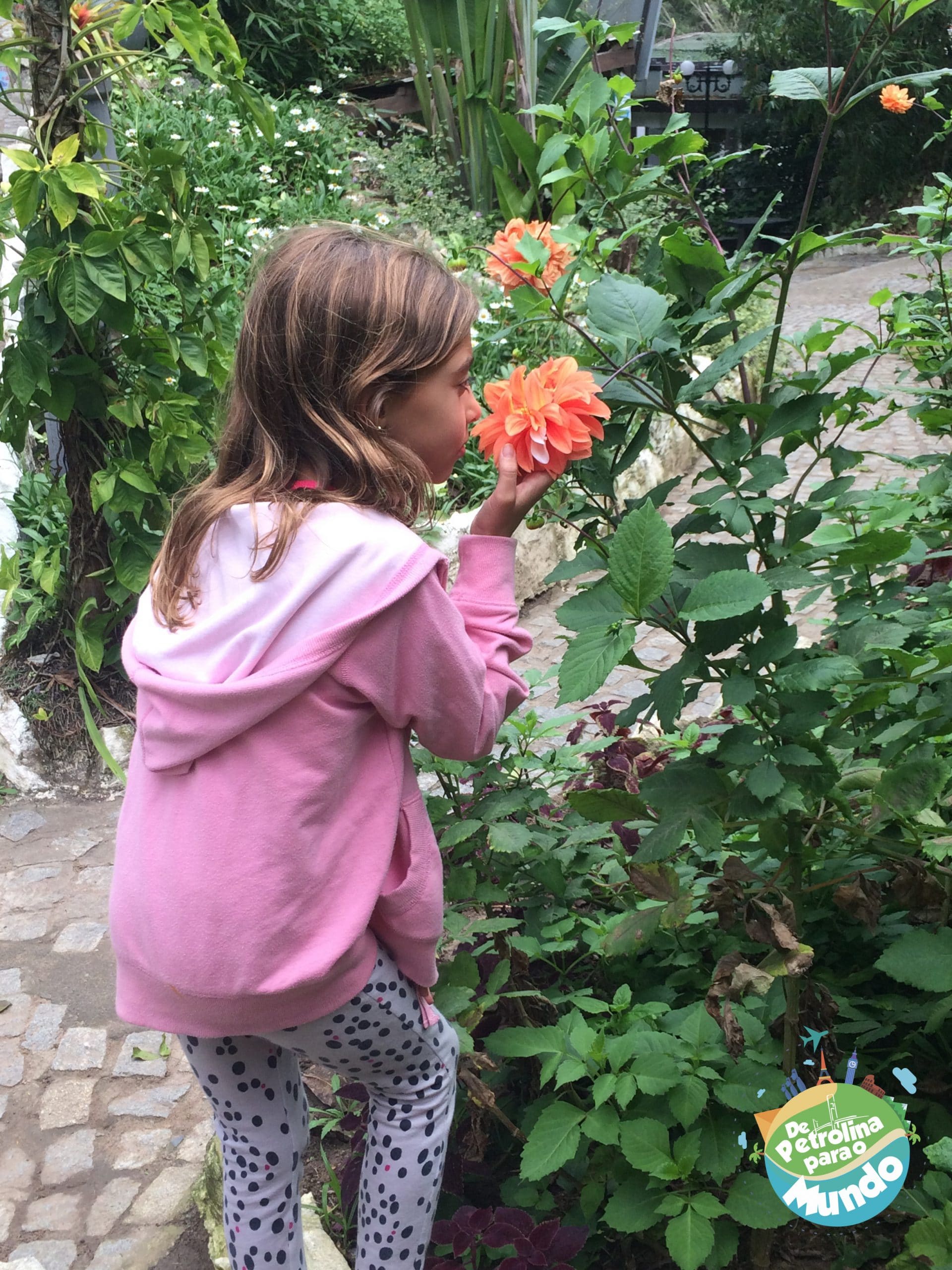 2 dias em Garanhuns - PE 60 Pau Pombo