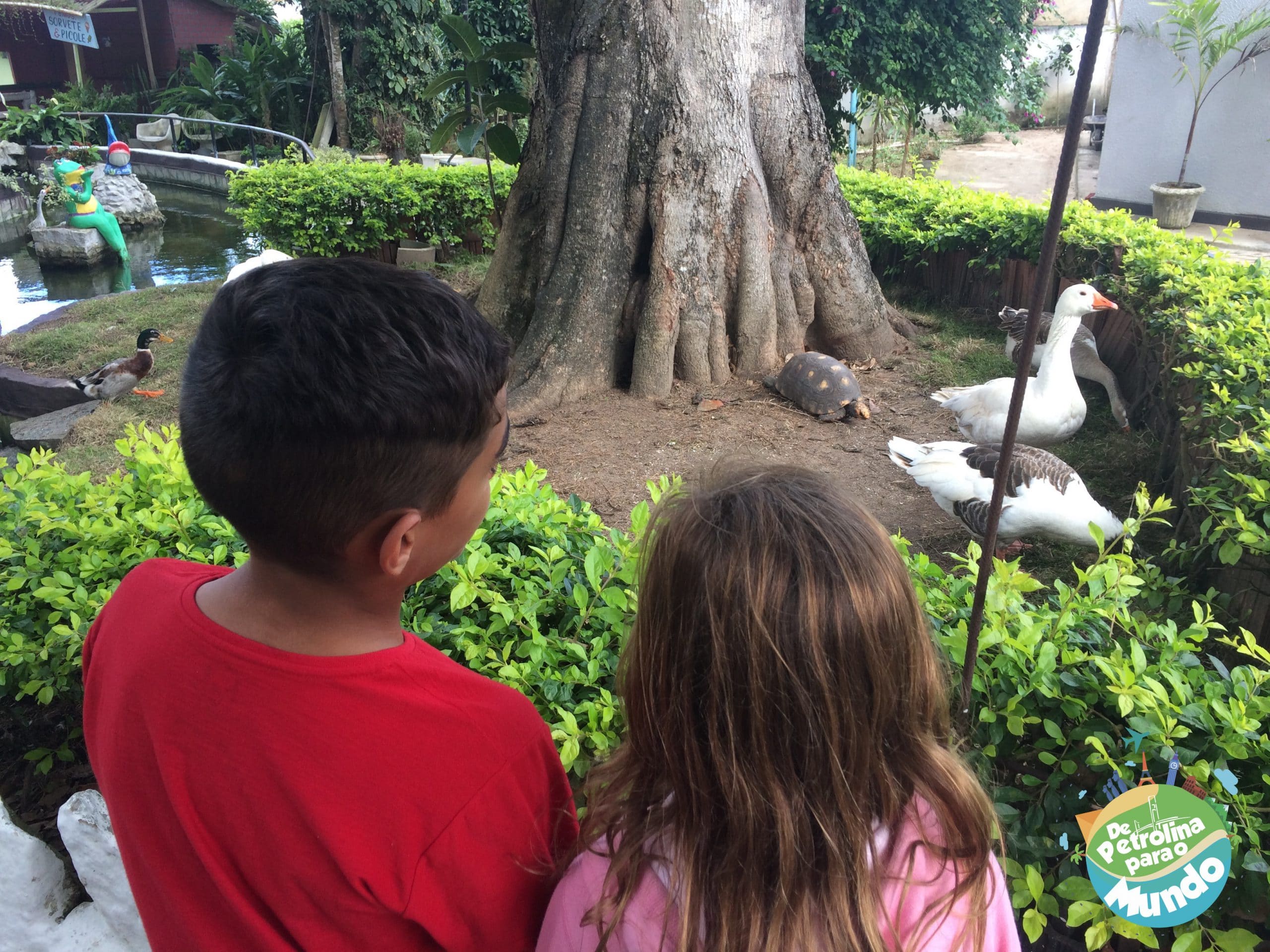 2 dias em Garanhuns - PE 57 Pau Pombo