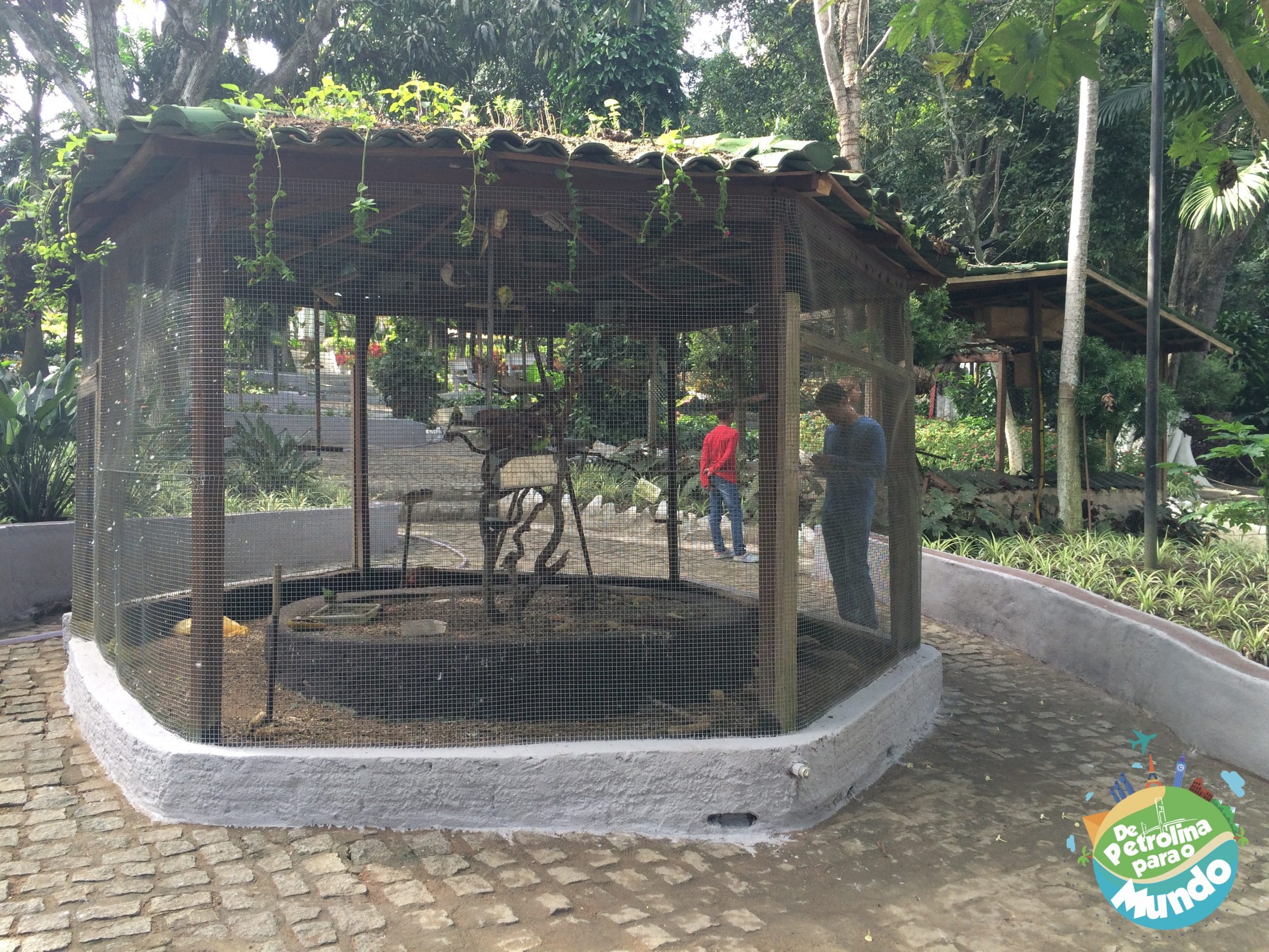 2 dias em Garanhuns - PE 58 Pau Pombo