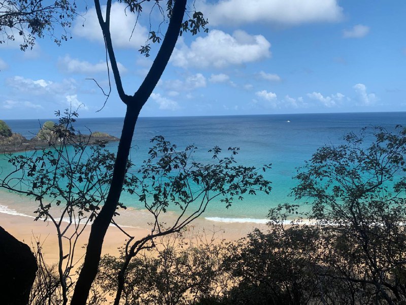 hipster using touch screen smart phone hands close up vintage colors 1